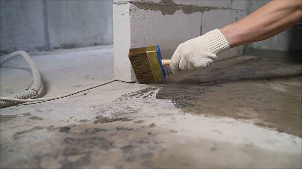 24/7 Emergency Wet Basement Repair experts in Graysville, TN